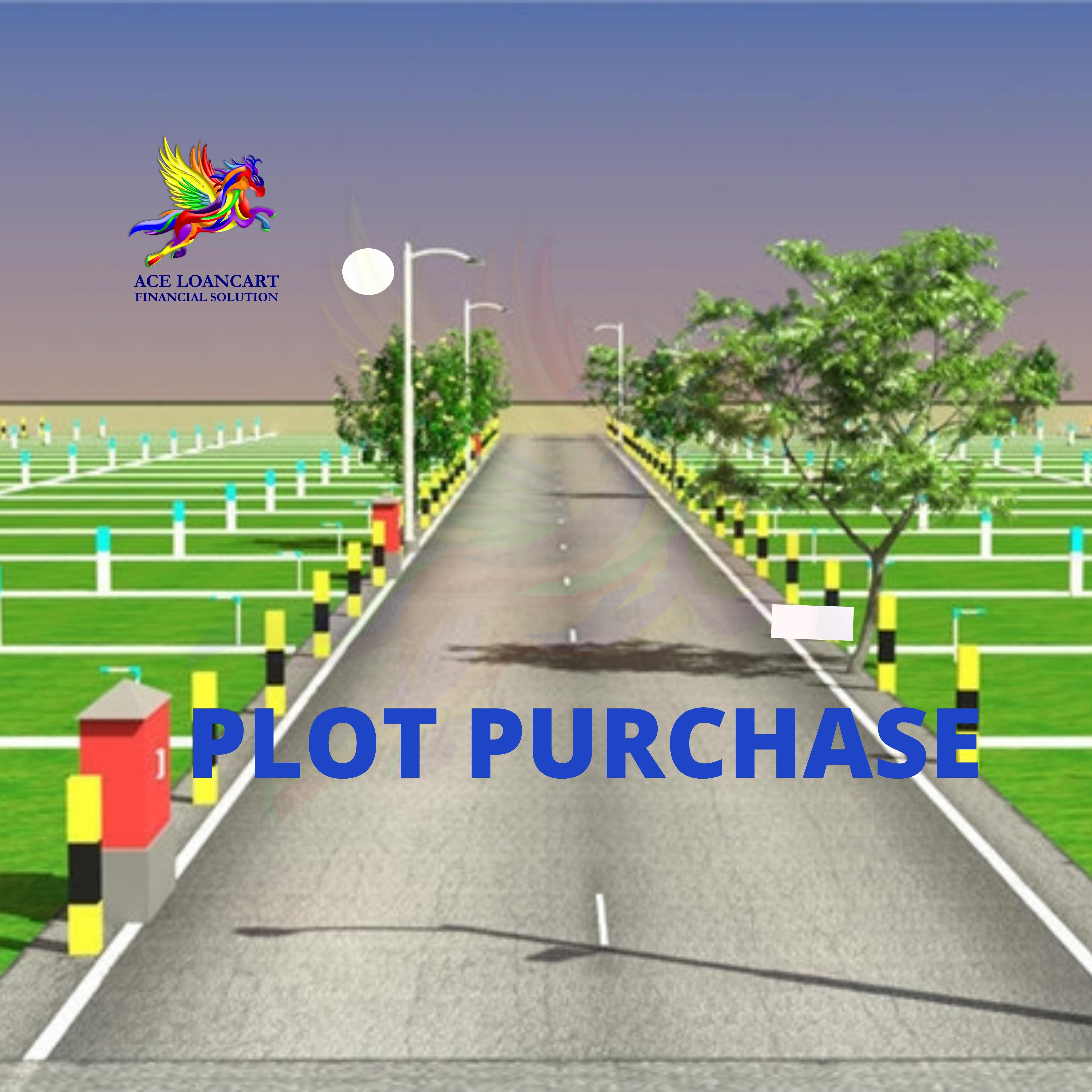 plot_purchase